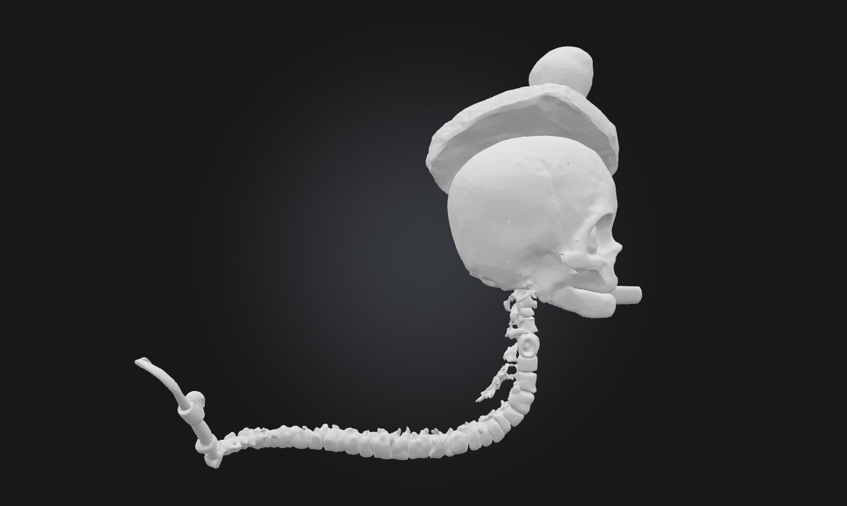 Skeleton Gentleman  Stylized Undead Character  3D model_5