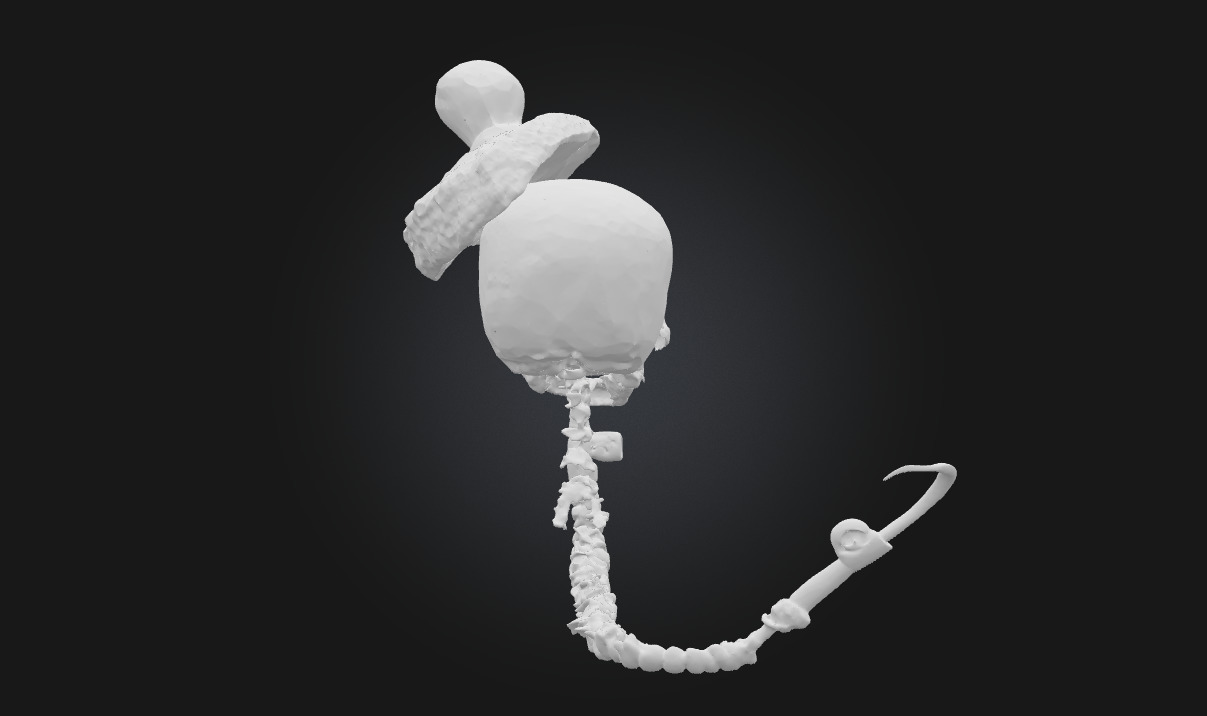 Skeleton Gentleman  Stylized Undead Character  3D model_6