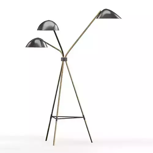 Curvilinear Tripod Floor Lamp
