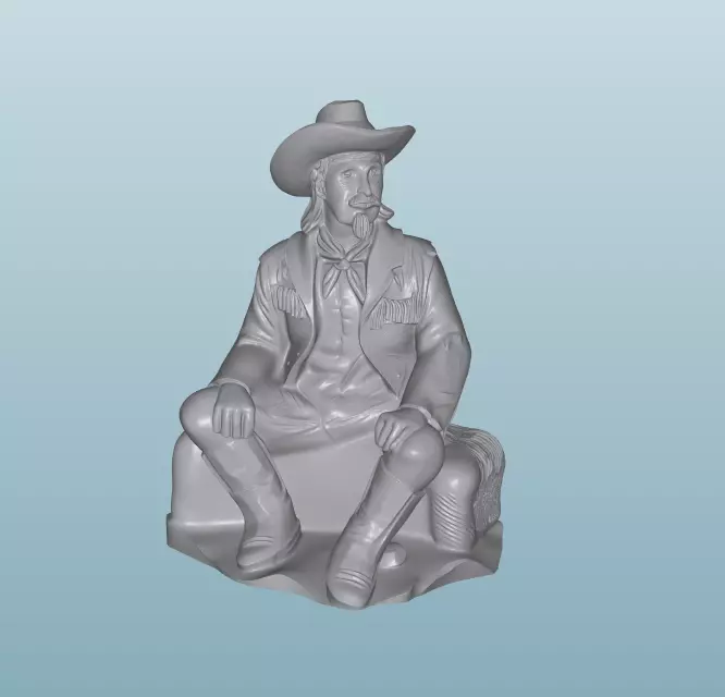 COWBOY W81 3D print model_0