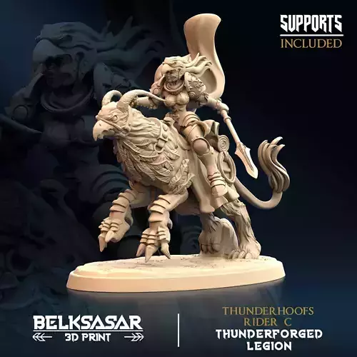 Thudnerhoofs Rider C