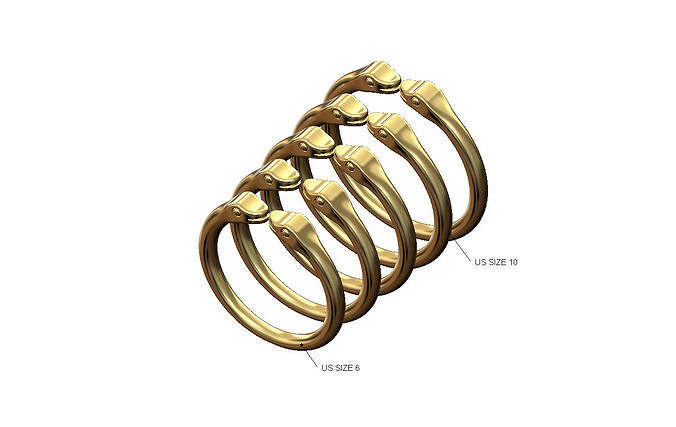 Double head open minimalist serpent ring US sizes 6to10 3D print model