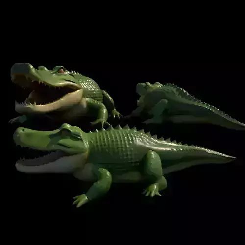 Crocodile 3D Model