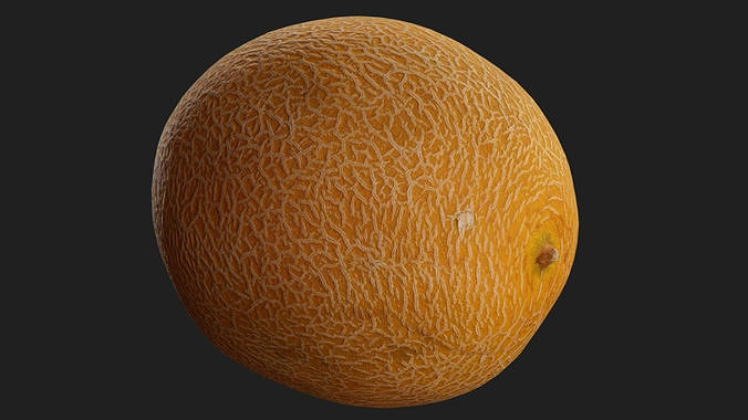 Melon Low-poly 3D model