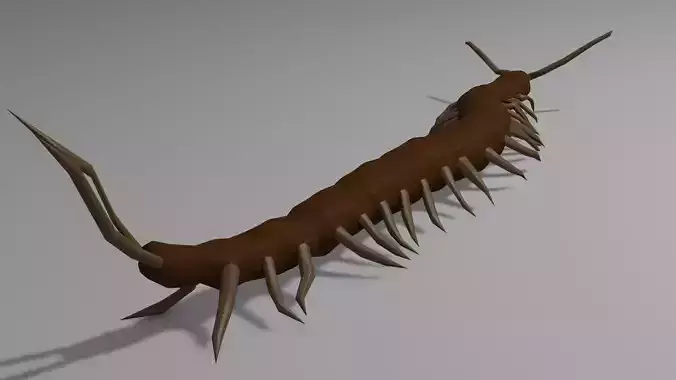 Centipede Obj plus Blender