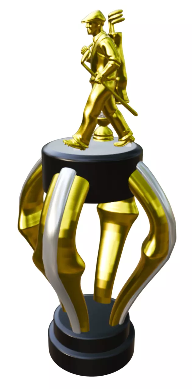 PREMIUM GOLF PLAYER ROPHEY MODEL 3D 3D print model