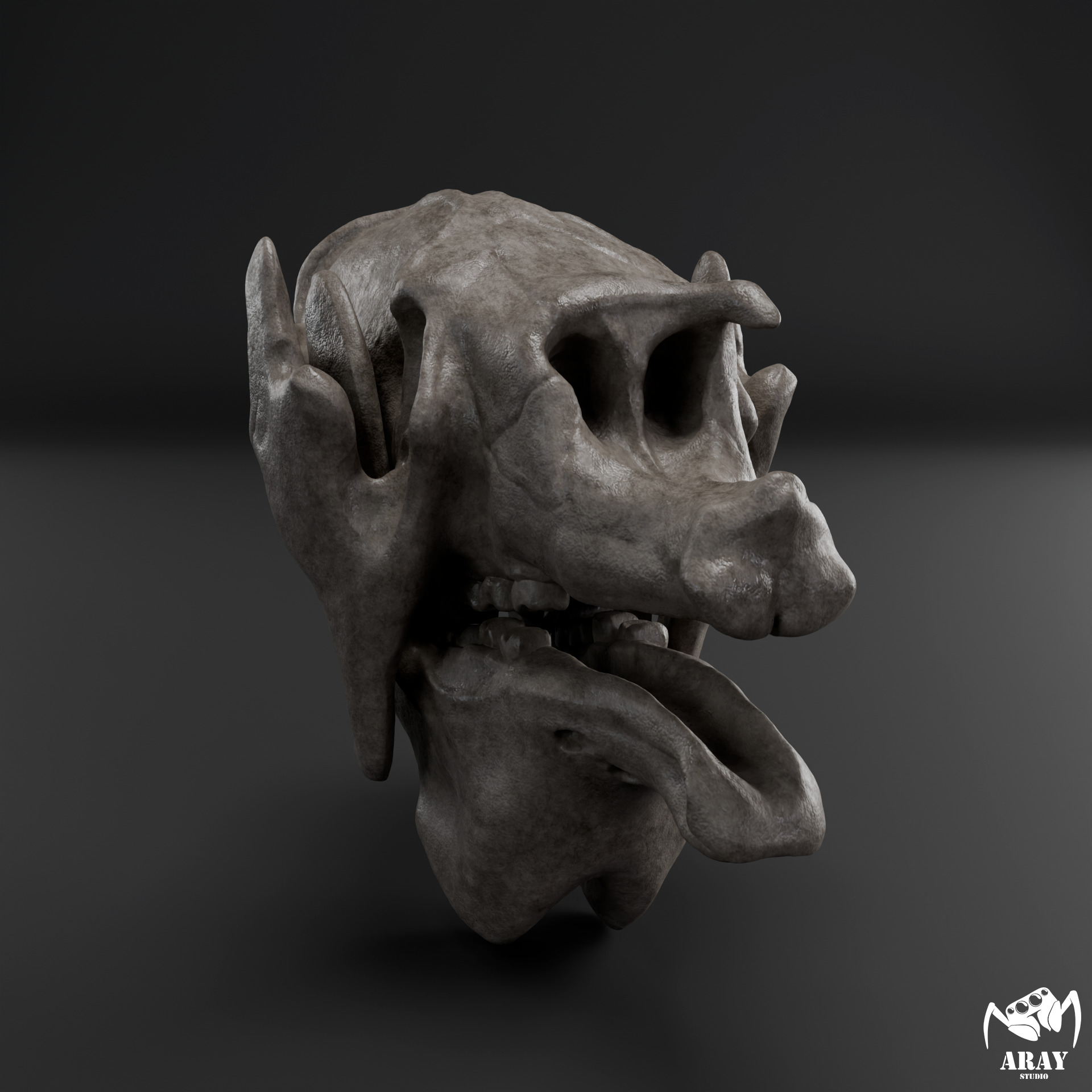 Megatherium americanum - giant ground sloth skull 3D print model_1