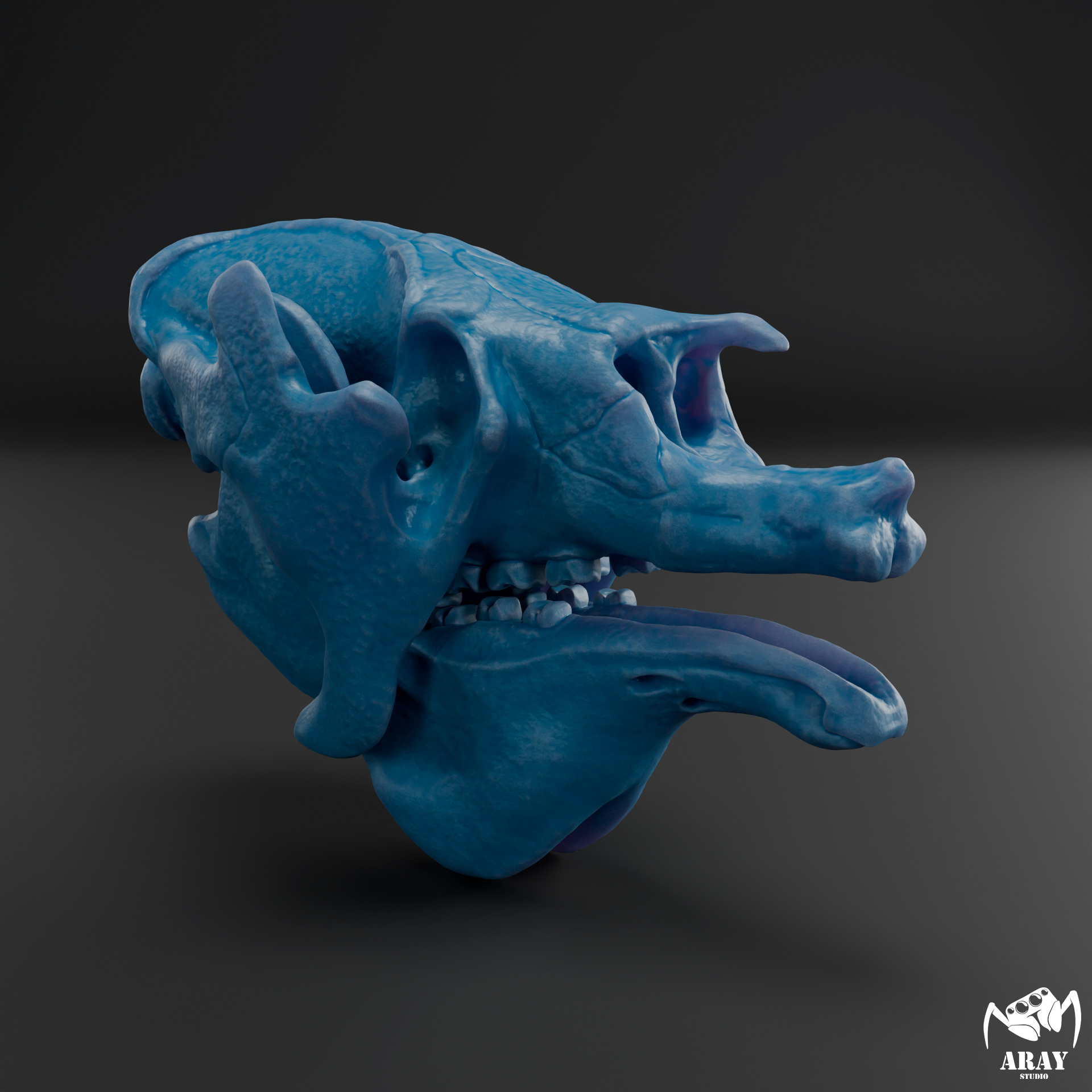 Megatherium americanum - giant ground sloth skull 3D print model_6