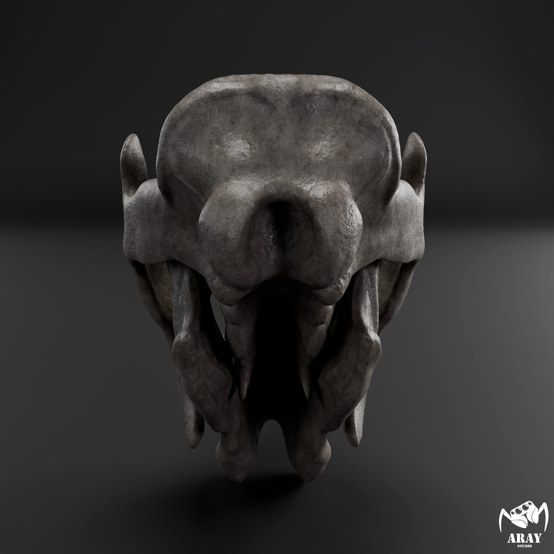Megatherium americanum - giant ground sloth skull 3D print model_5