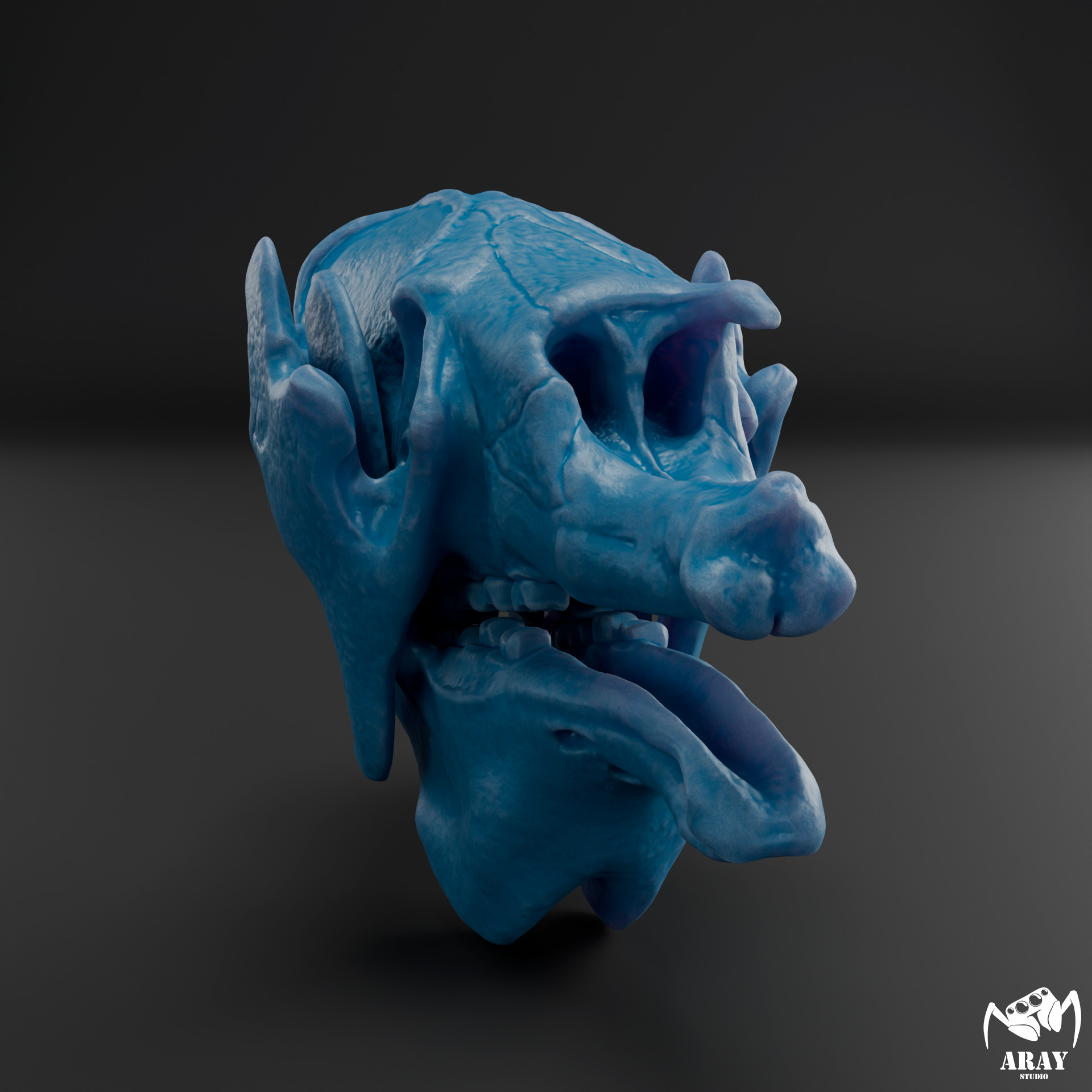 Megatherium americanum - giant ground sloth skull 3D print model_7