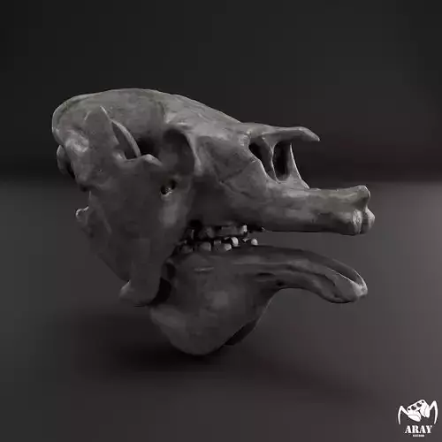 Megatherium americanum - giant ground sloth skull 3D print model