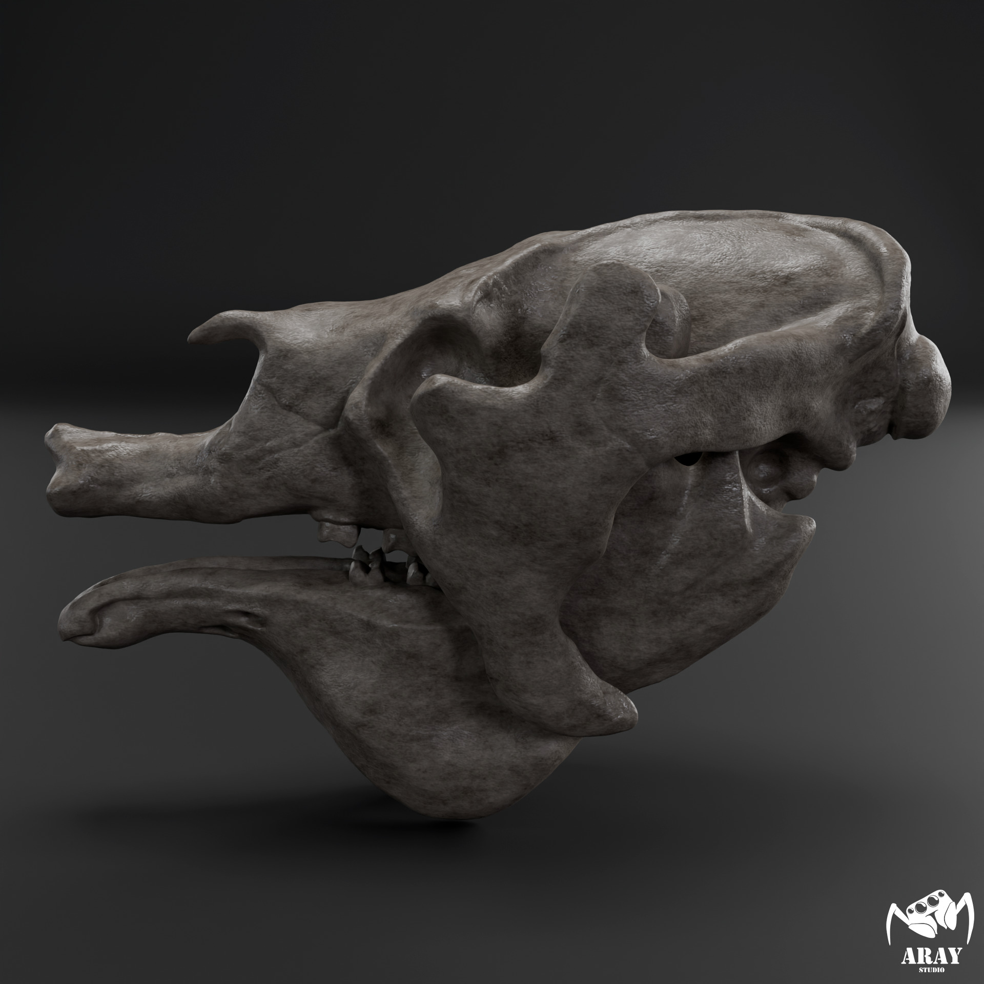 Megatherium americanum - giant ground sloth skull 3D print model_3