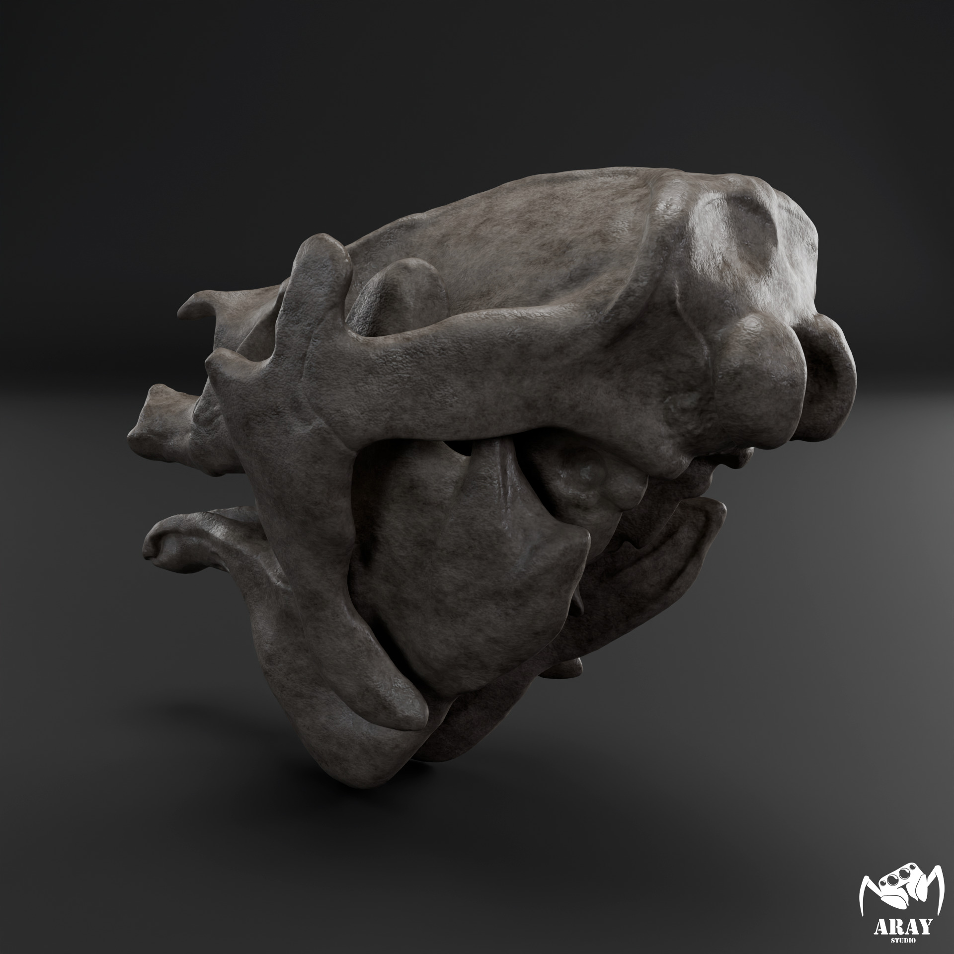 Megatherium americanum - giant ground sloth skull 3D print model_4