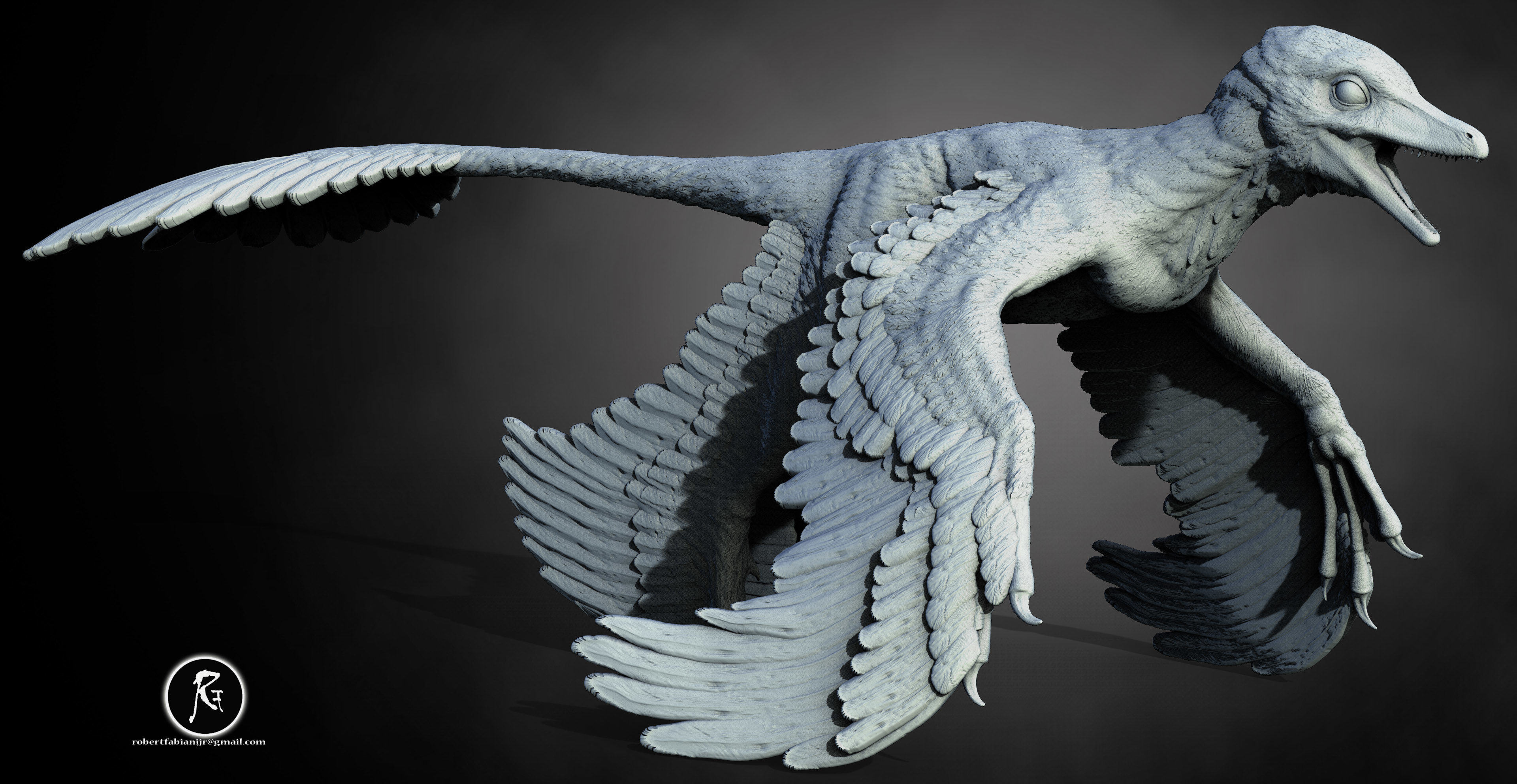 Microraptor  The Four-Winged Glider of the Cretaceous 3D print model_1