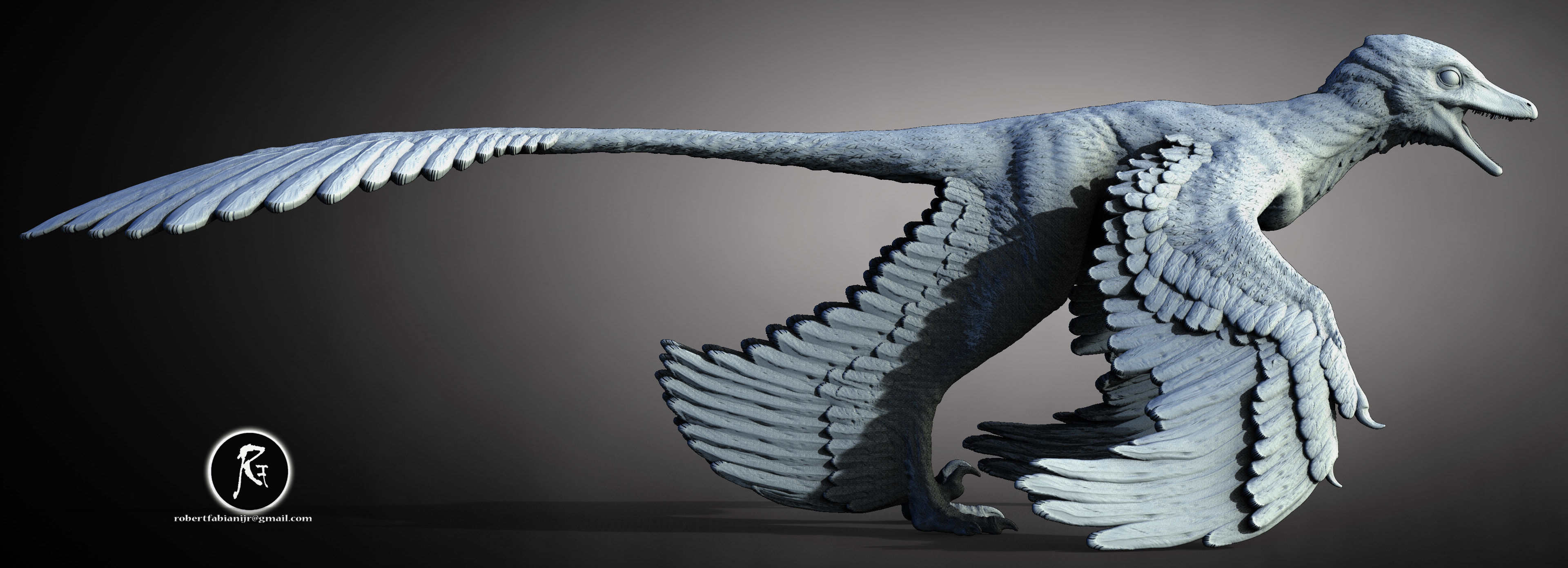 Microraptor  The Four-Winged Glider of the Cretaceous 3D print model_2
