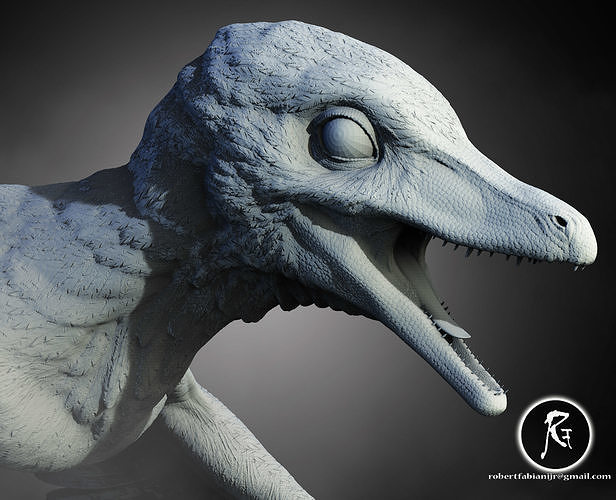Microraptor  The Four-Winged Glider of the Cretaceous 3D print model
