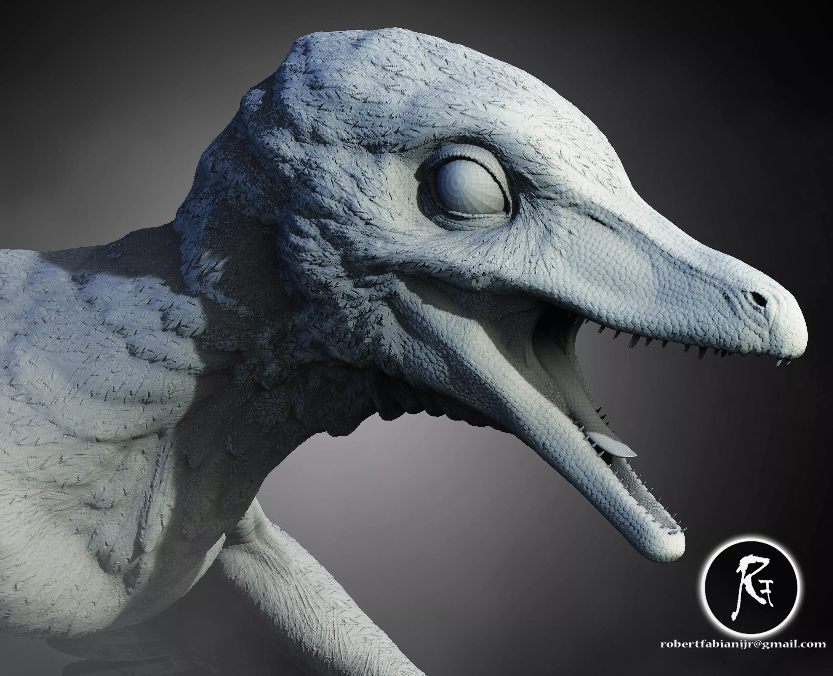 Microraptor  The Four-Winged Glider of the Cretaceous 3D print model_0