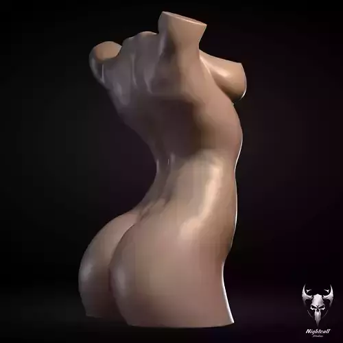 Female Torso  3D print model
