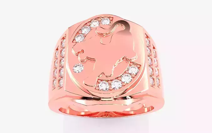 Mens Ring 3dm stl renders details  3D print model