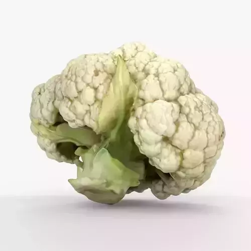 Photorealistic 3D scan of Cauliflower Head