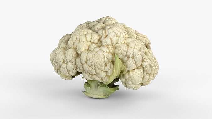 Photorealistic 3D scan of Cauliflower Head Low-poly 3D model 6