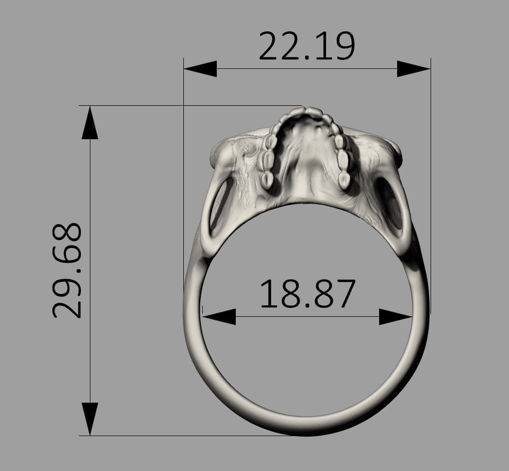 Skull Silver Ring Free 3D print model_6