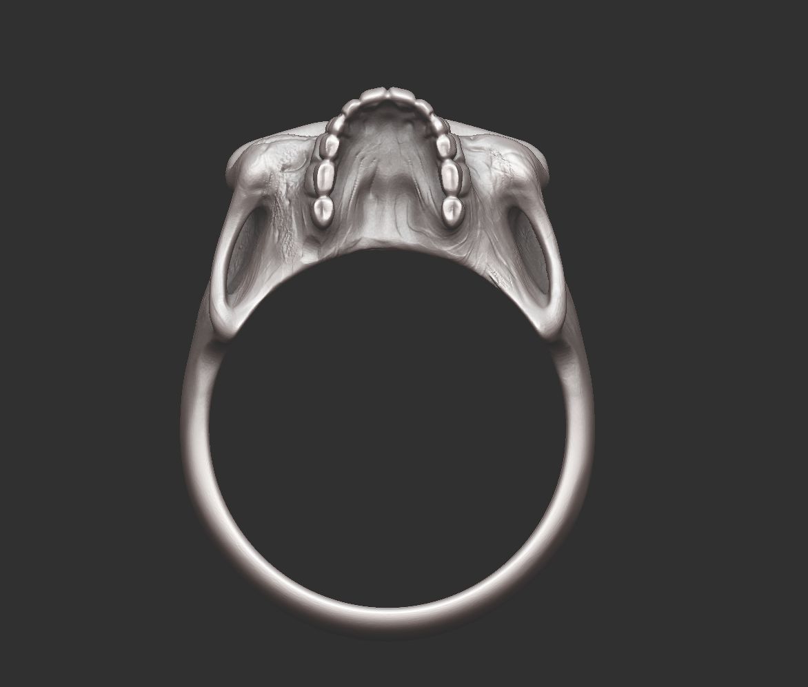 Skull Silver Ring Free 3D print model_3