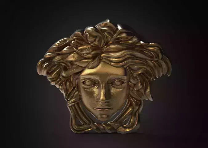 Medusa Face 3D print model