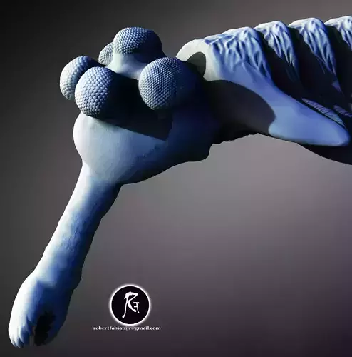 Opabinia  The Five-Eyed Anomaly of the Cambrian Seas 3D print model