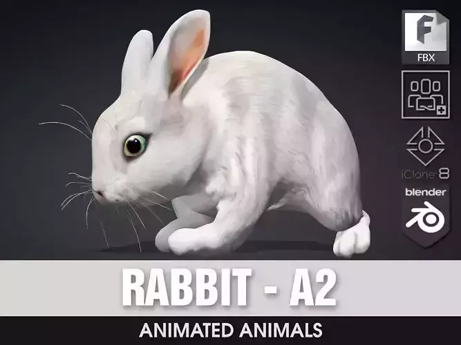 Rabbit-A2