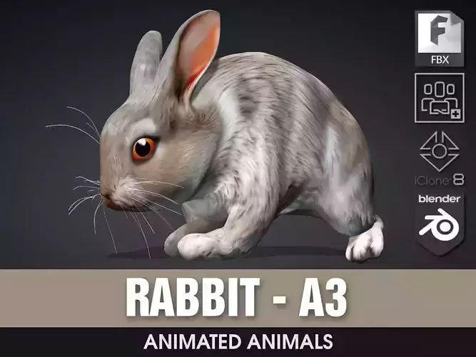 Rabbit-A3