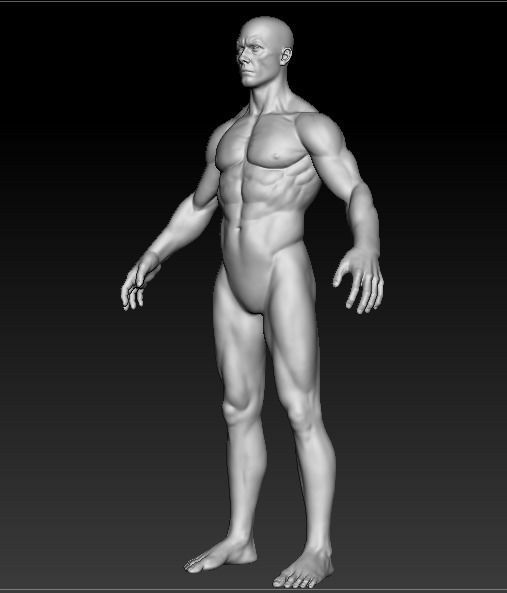 Muscular Base Model 3D model_3