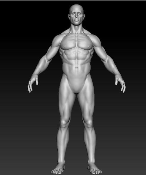 Muscular Base Model 3D model_4
