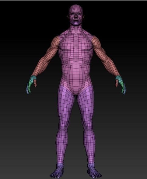 Muscular Base Model 3D model_1