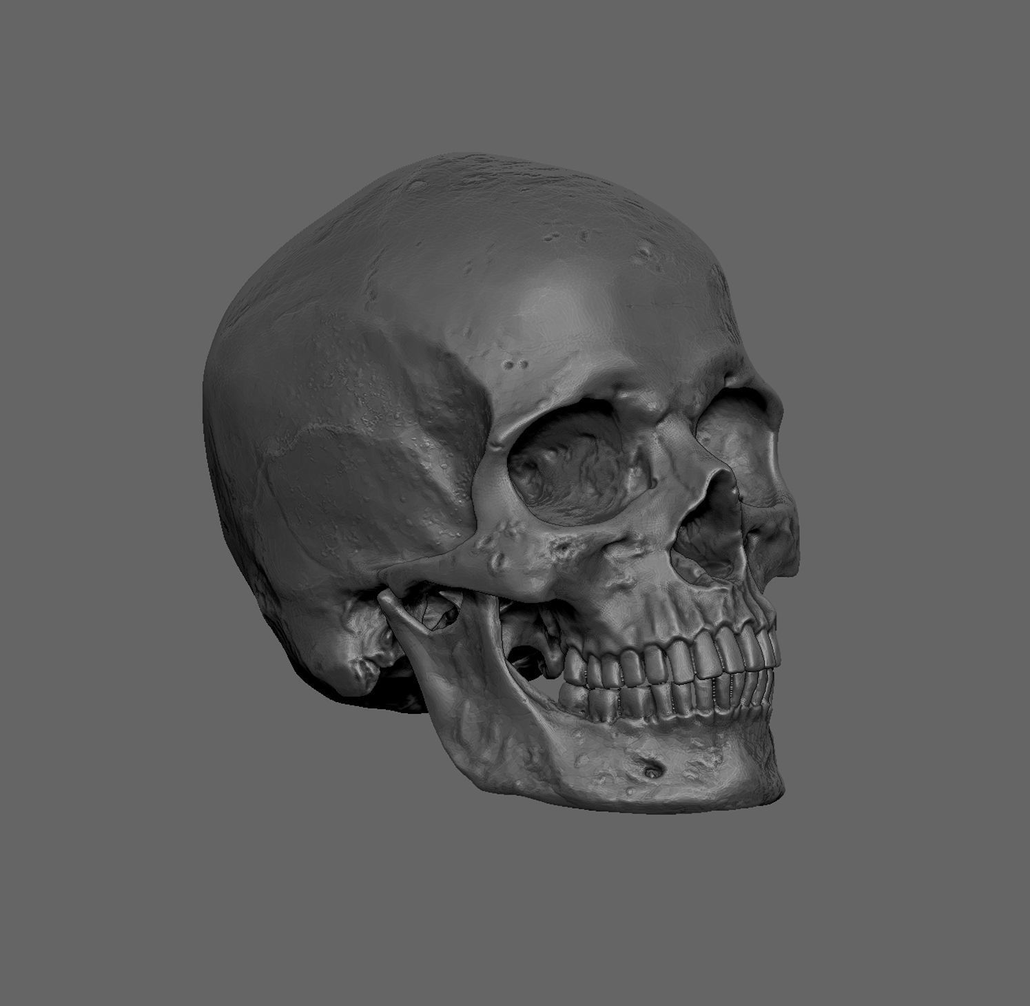 skull 3D print model_3