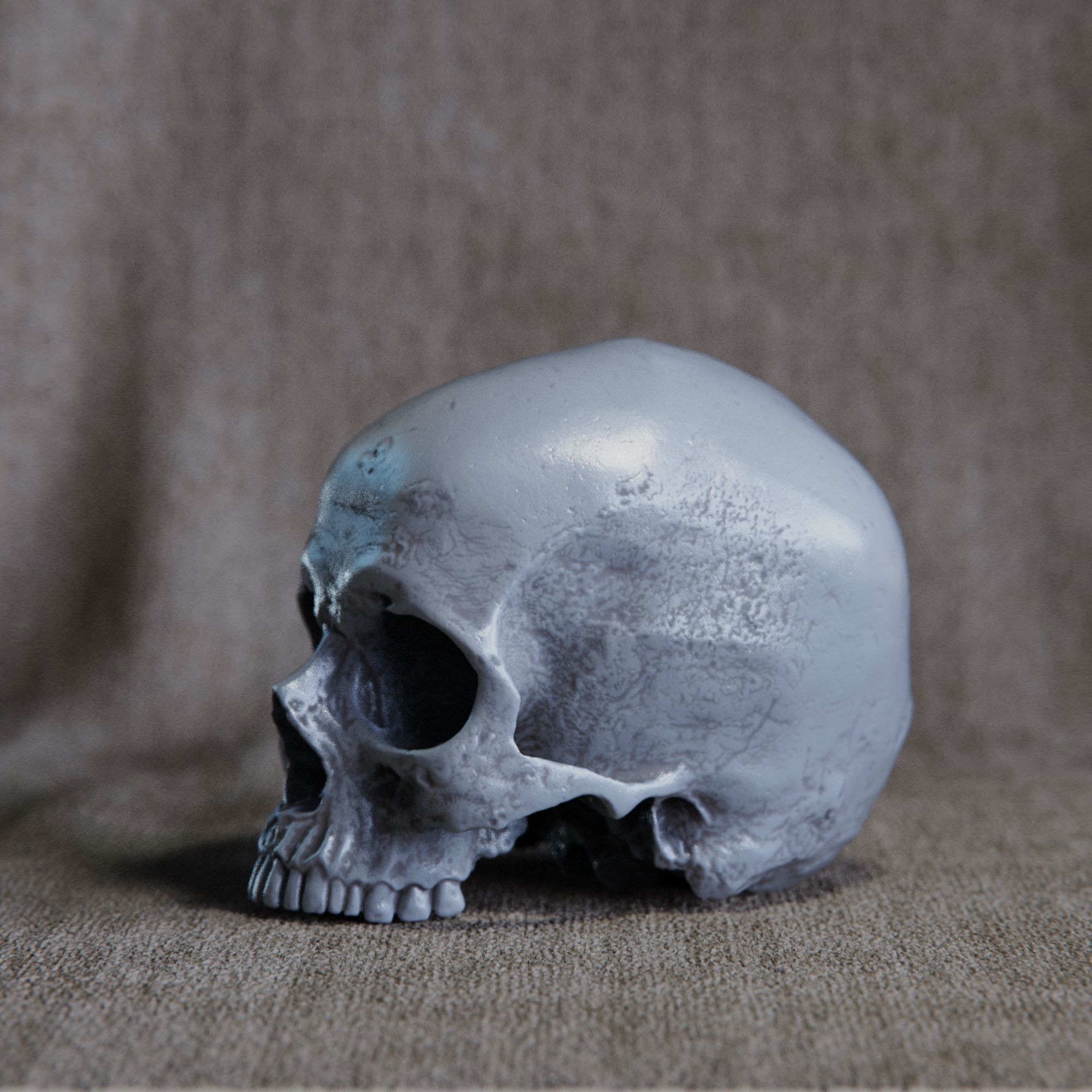 skull 3D print model_5