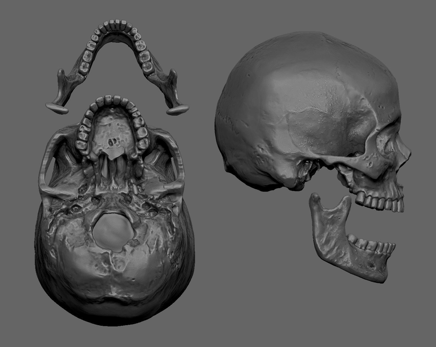 skull 3D print model_2