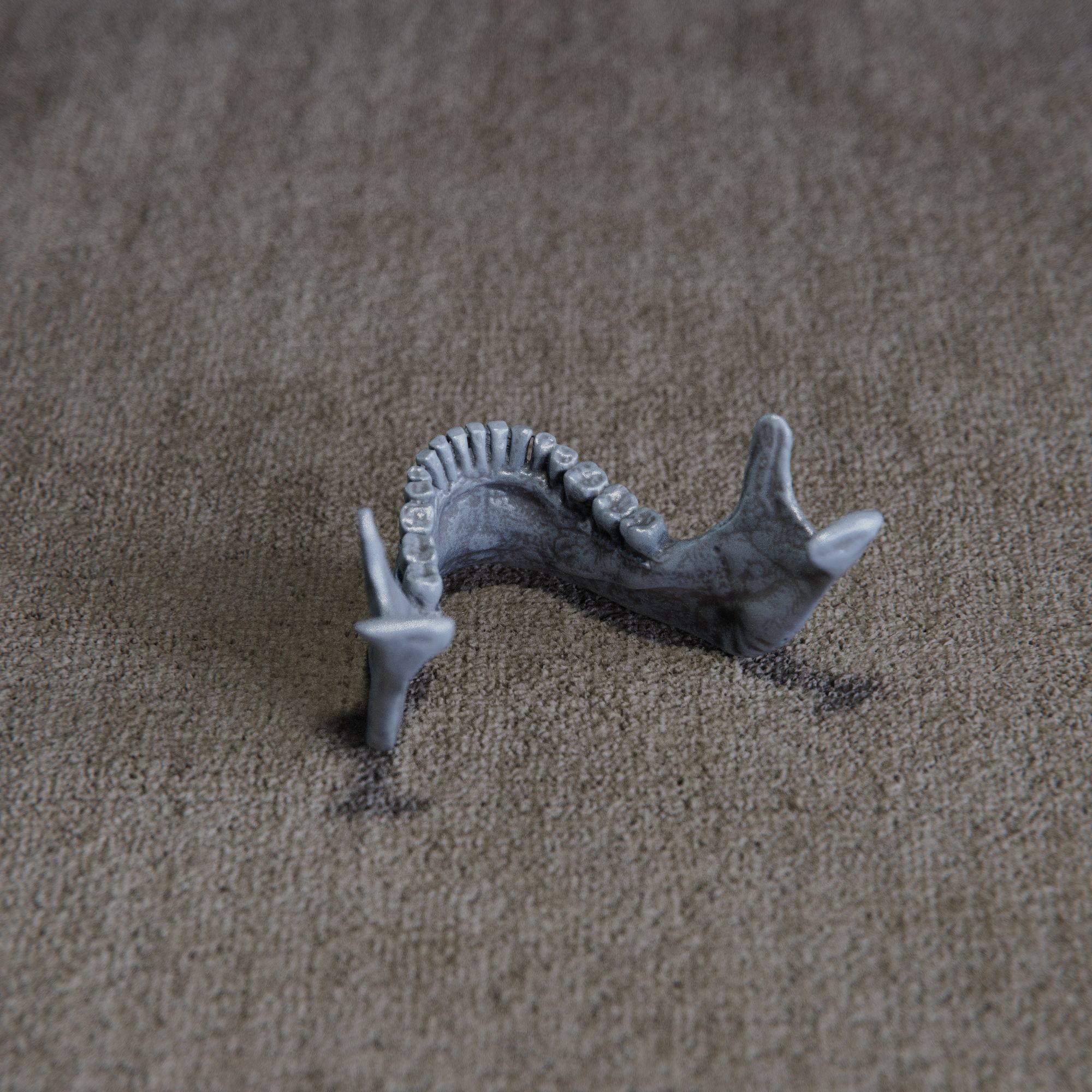 skull 3D print model_7