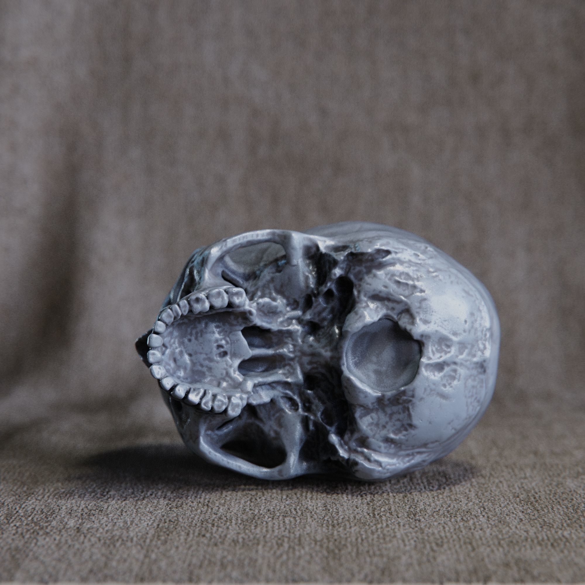 skull 3D print model_6