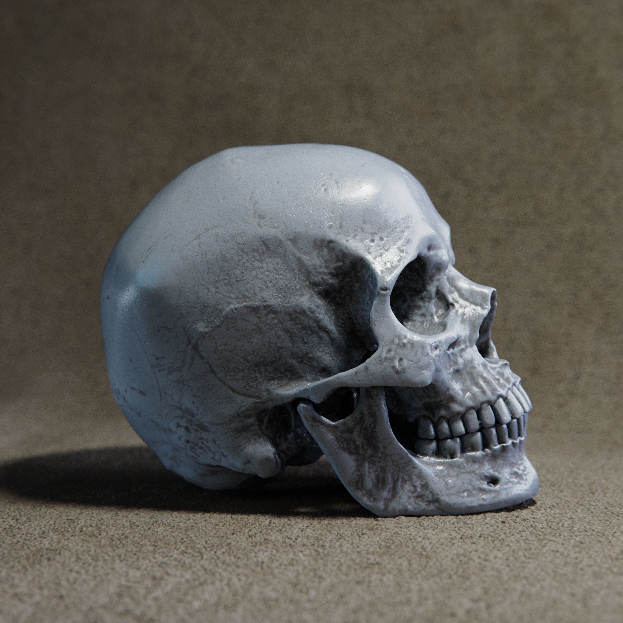 skull 3D print model_1