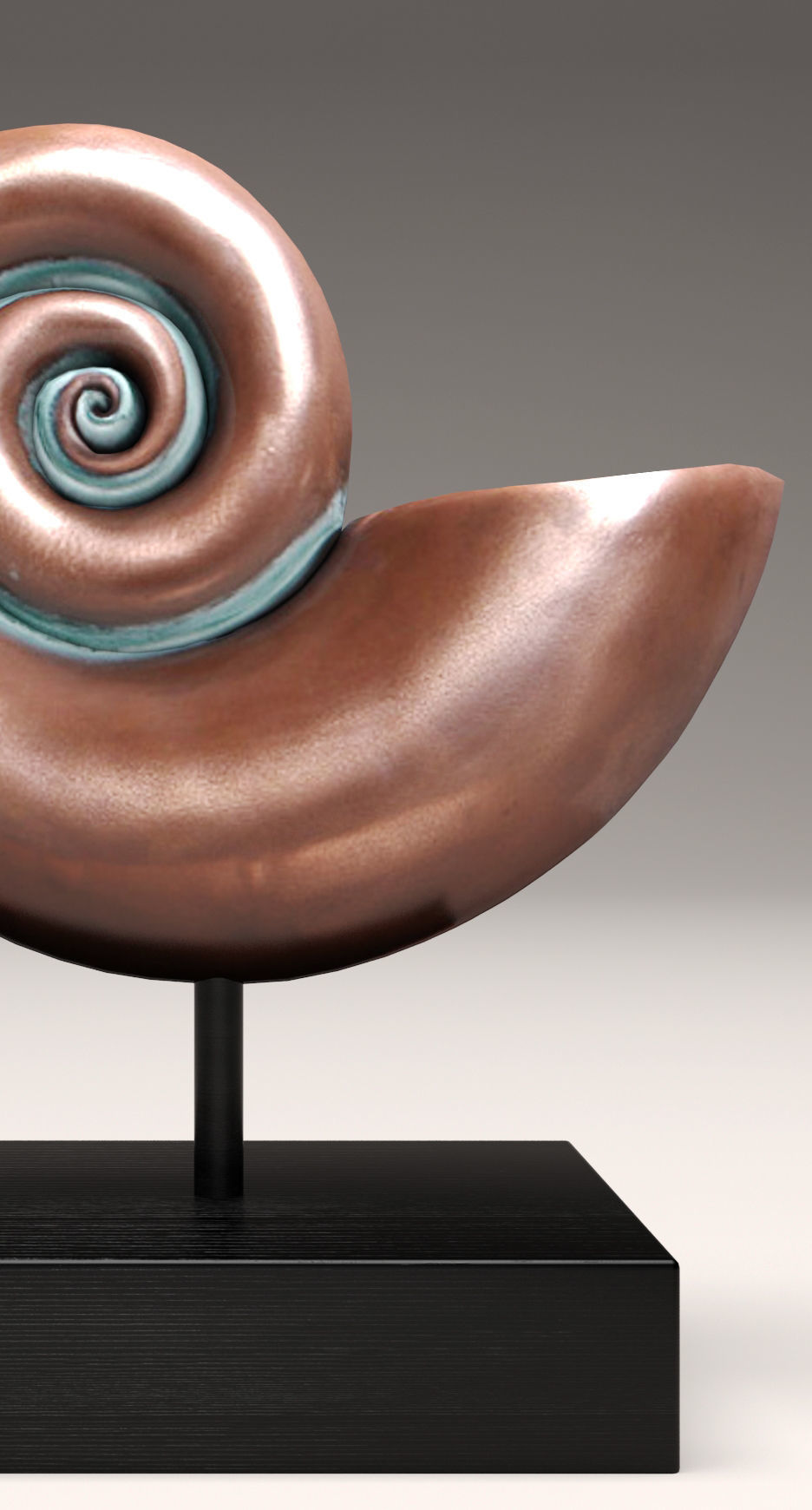 shell nautilus 3D model_5