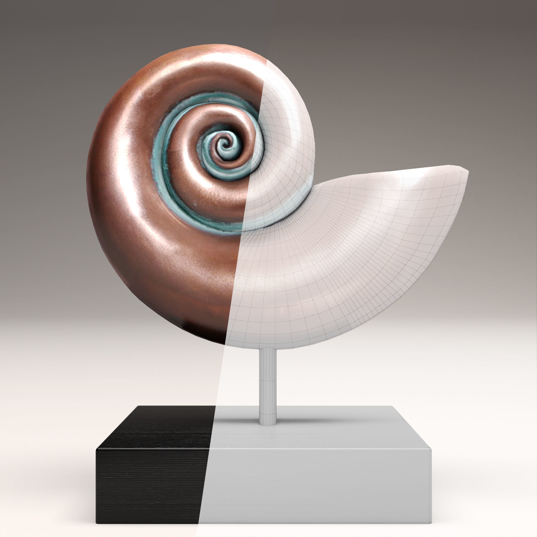 shell nautilus 3D model_6