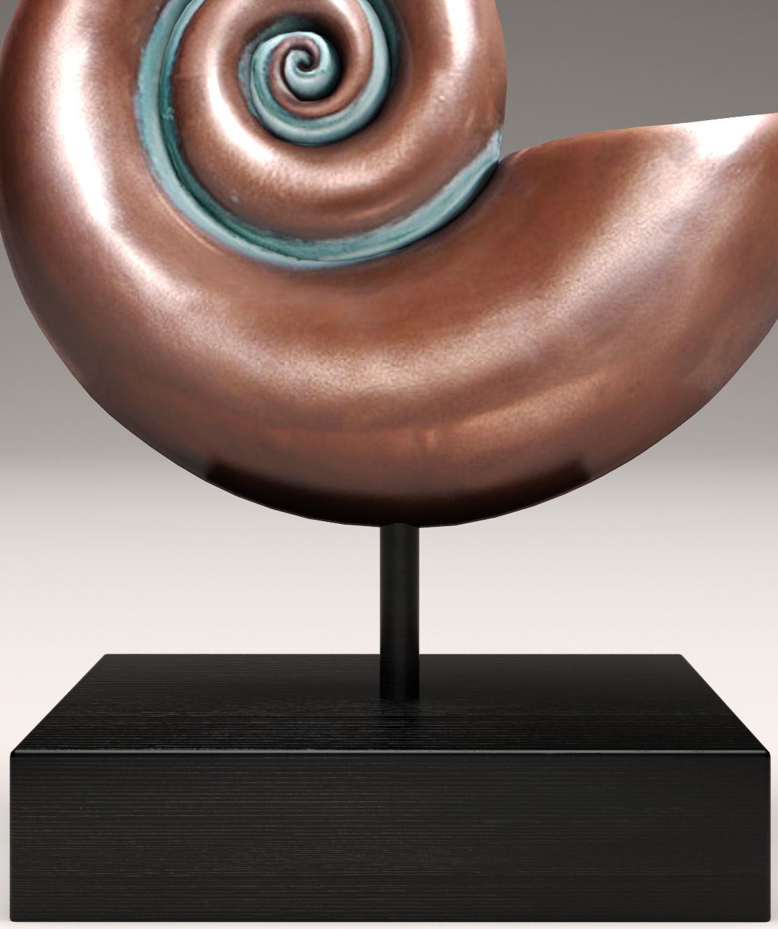 shell nautilus 3D model_2