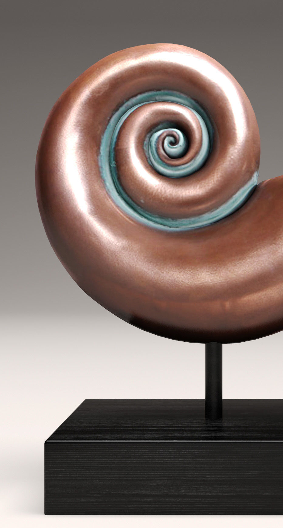 shell nautilus 3D model_1