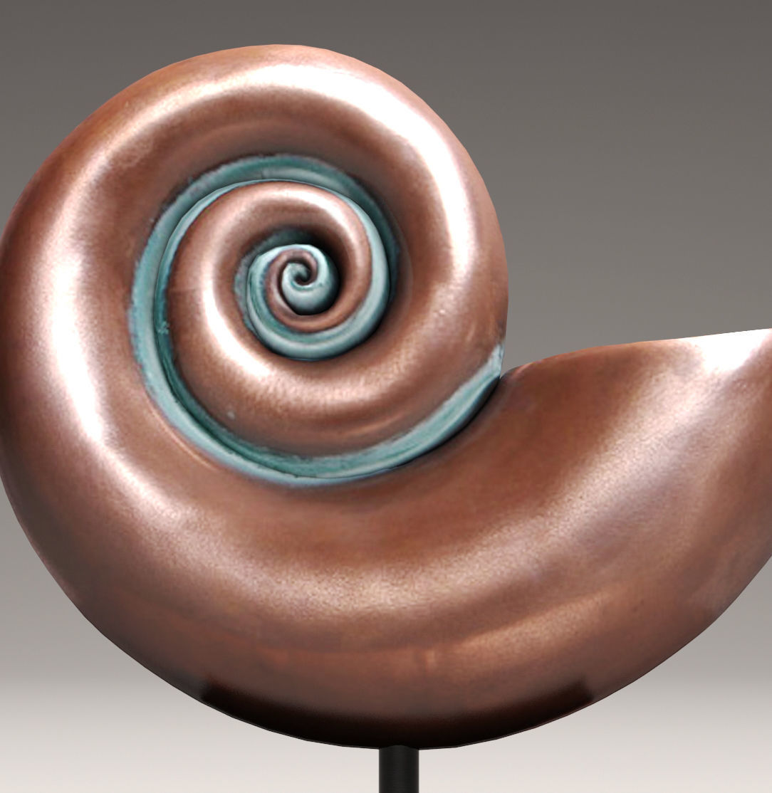 shell nautilus 3D model_3