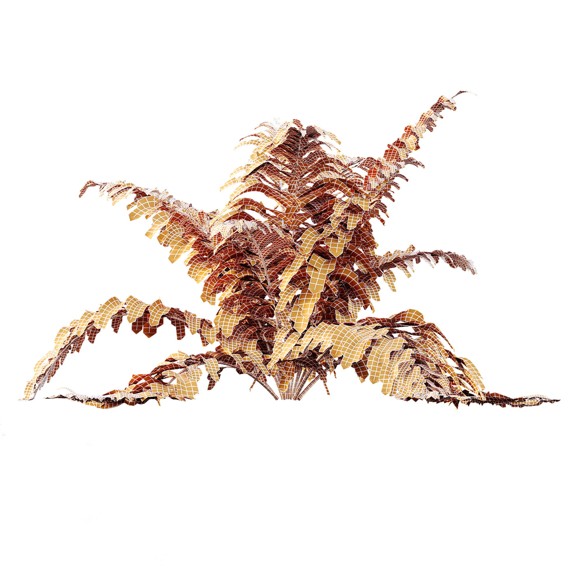 AV 12 different Spring bush Alchemilla and Macrothelypteris Fern 3D model_13