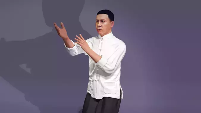 Donnie Yen Wing Chun martial artist Ip Man the Republic of China