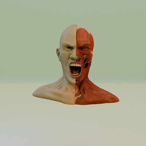 the anatomy of rage 3D model
