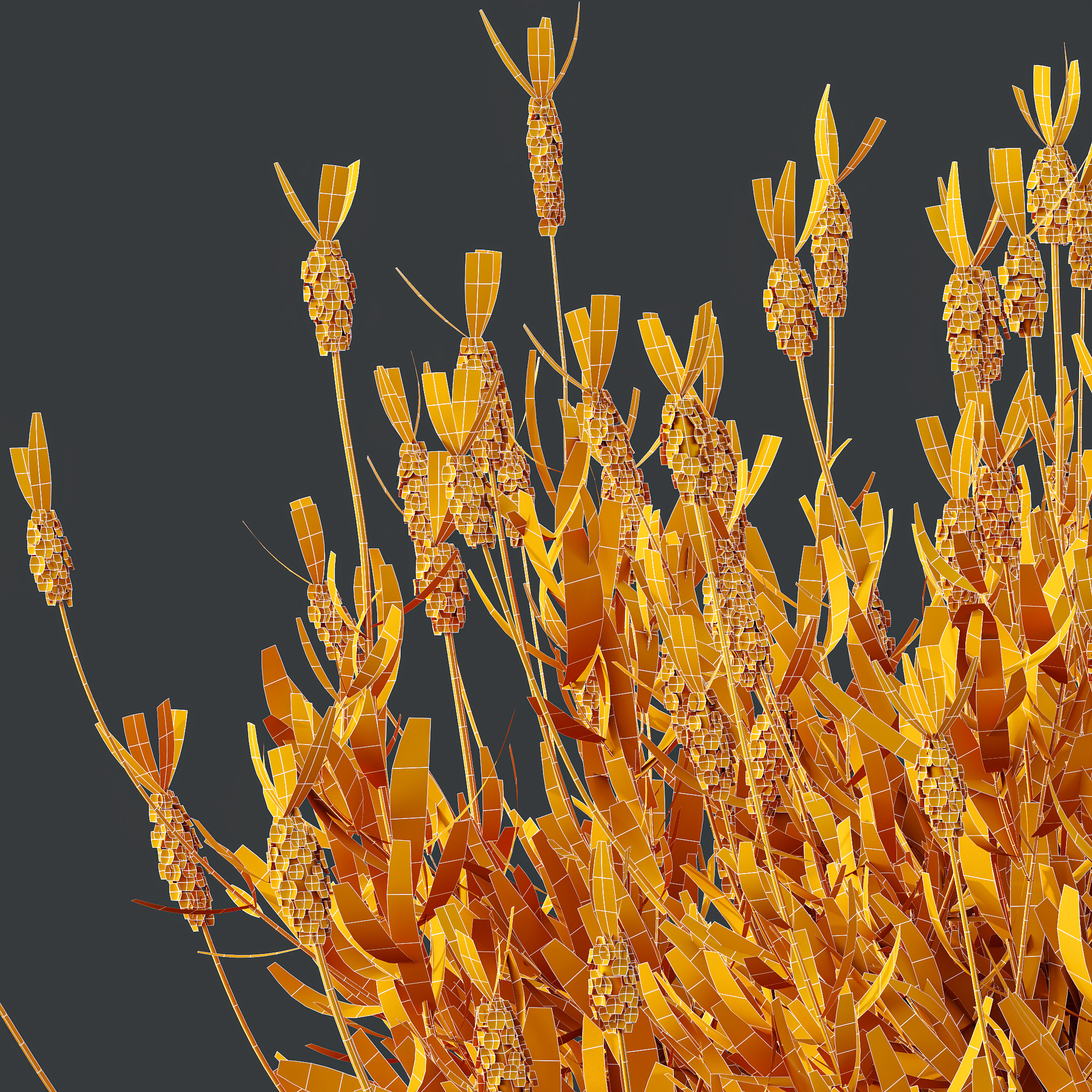 AV spring bushes Lavandula Pedunculata and Fruticosa Rosemary 3D model_11