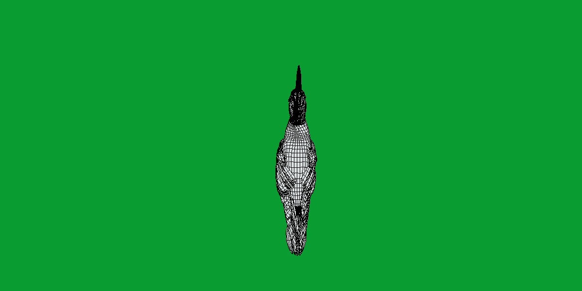 White Bellied Woodpecker Bird Low-poly 3D model_24